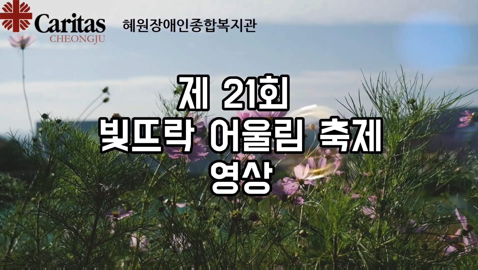 빛뜨락 썸네일