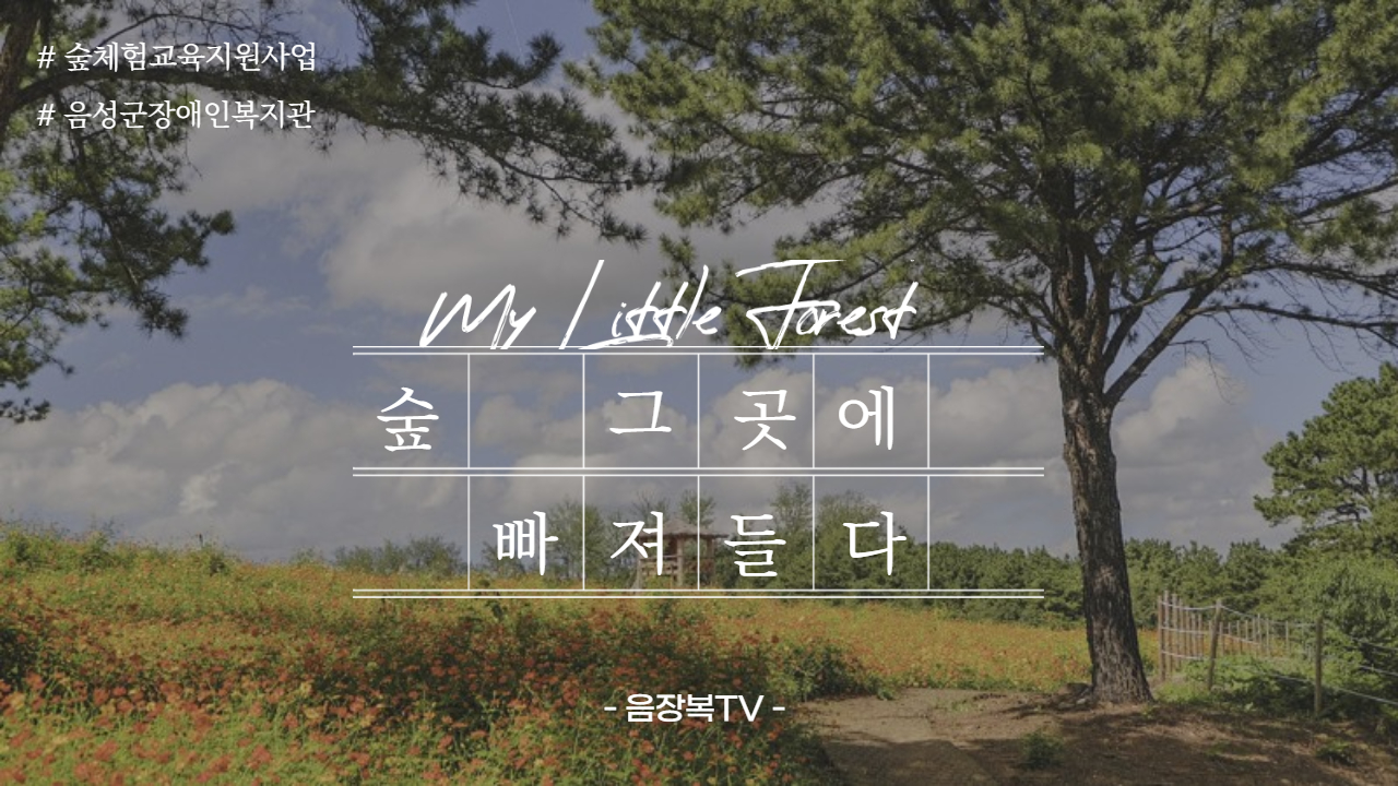 숲체험 썸네일